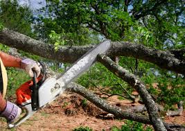 Best Pest Control for Lawns  in Belgium, WI