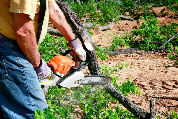 Soil Testing and Treatment in Belgium, WI